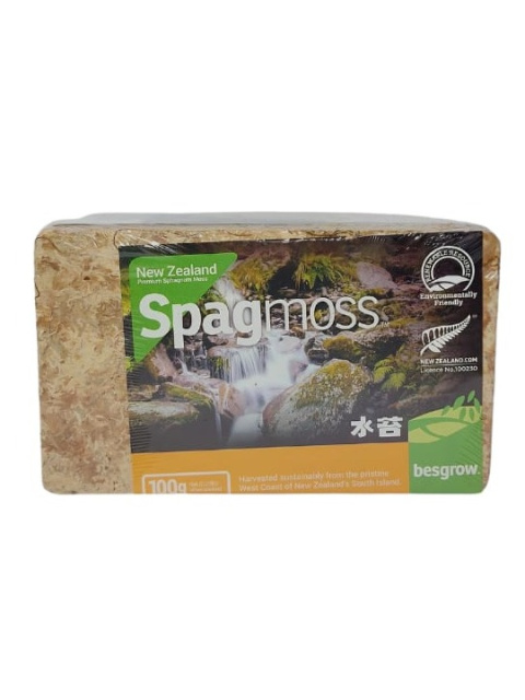 SPHAGNUM Besgrow Spagmoss 8L Nowozelandzki Mech Torfowiec | 100g