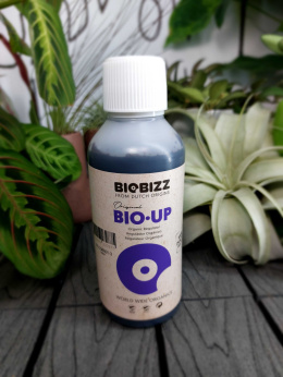 Biobizz pH plus 250ml | organiczny regulator na wzrost pH
