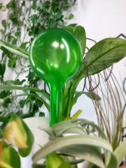 Kula nawadniająca do roślin XXL | Zielona