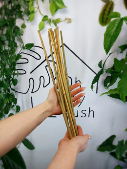 Tyczki bambusowe 45cm | zestaw 10szt