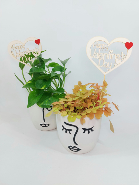 Zestaw Happy Valentine's Day | Epipremnum Aureum + osłonka Chłopiec