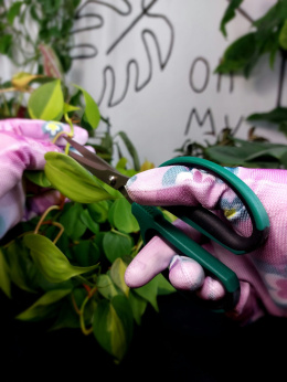 Herbgarden Bonsai Scissors | nożyczki do przycinania roślin