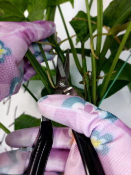 Herbgarden Spring Scissors | nożyczki do przycinania roślin
