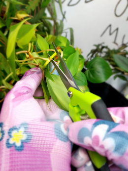 Herbgarden Trimming Scissors | nożyczki do przycinania roślin