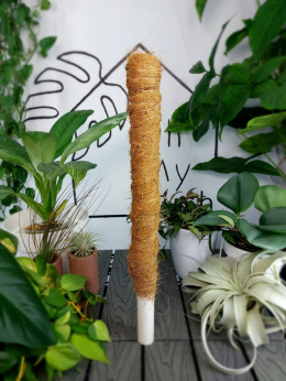 Palik kokosowy 40 cm | ø25mm