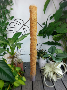 Palik kokosowy 50 cm | ø32mm