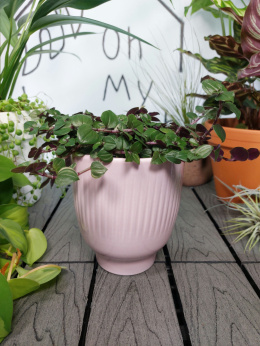 Osłonka ceramiczna Prążki Różowa | 10,5cm