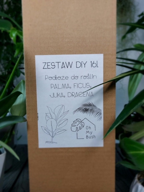 Podłoże Palma, Ficus | Zestaw DIY 16l