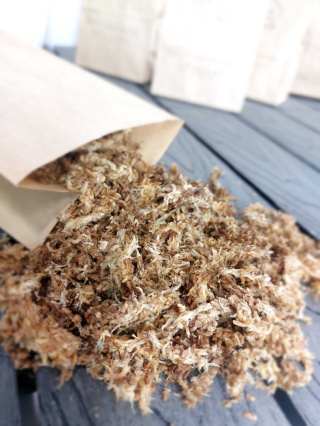 Sphagnum | Mech torfowiec | 25g